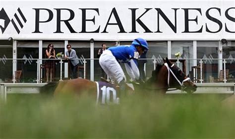 Preakness Stakes Odds .